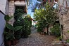 Laneia